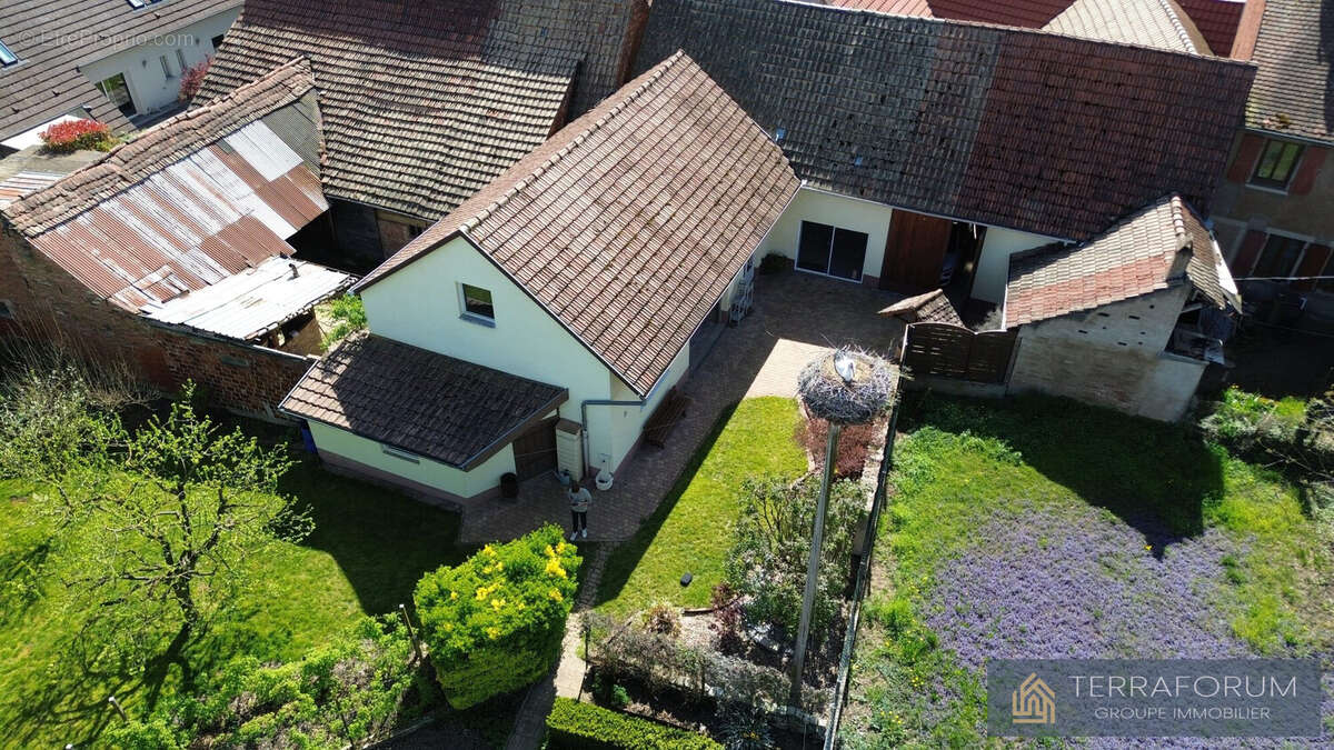 Maison à WINGERSHEIM