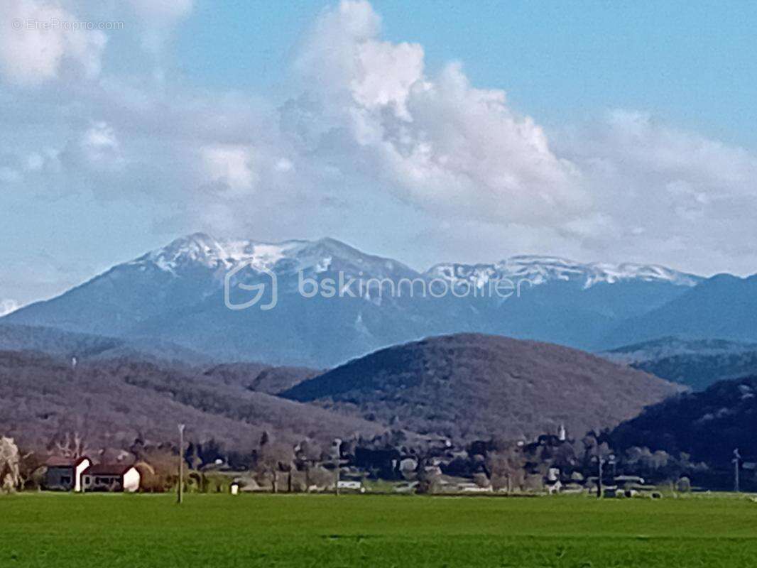 Terrain constructible  1578 m² vue sur les Pyrénées - photo 3