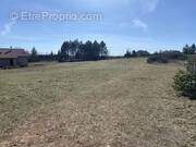 Terrain à SAINT-ANDRE-DE-VEZINES