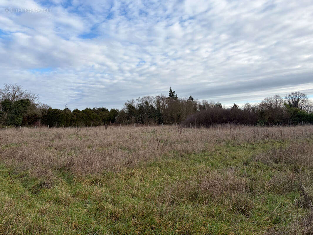 Terrain à CHAVIGNY-BAILLEUL