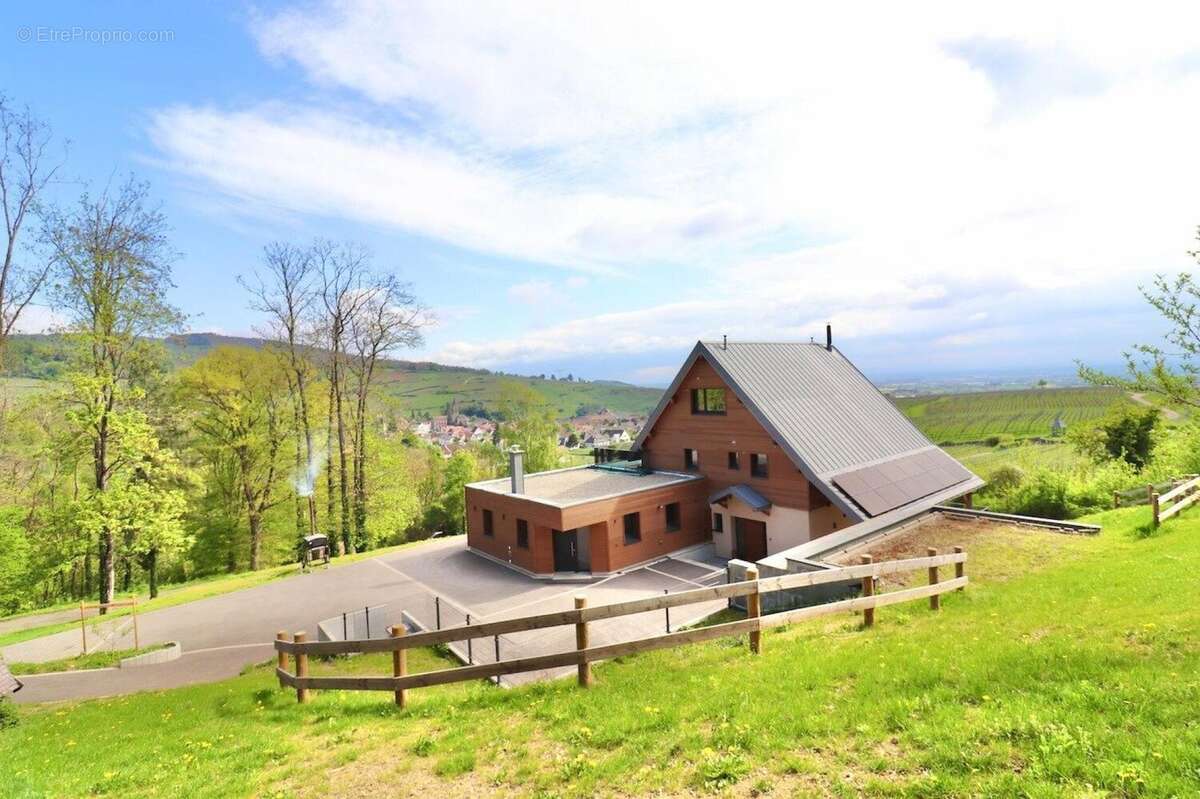 Photo 5 - Maison à RIBEAUVILLE