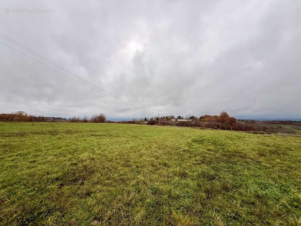 Terrain à COLOMBIER