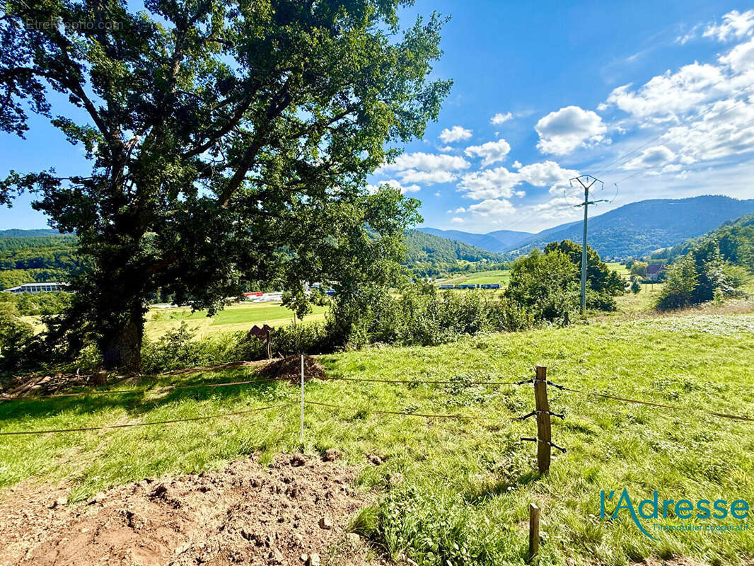Terrain à MUHLBACH-SUR-MUNSTER