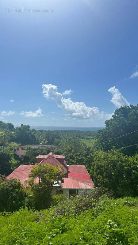 Terrain à LE GOSIER