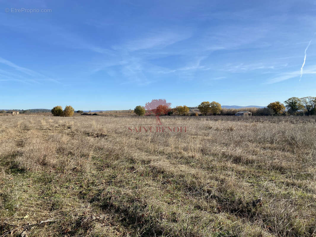 Terrain à SAINT-ANDRE-DE-SANGONIS