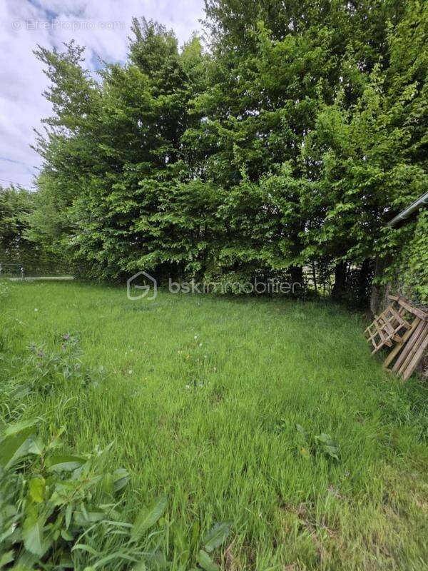 Bâtiment de stockage et terrain de 500m2 - photo 5