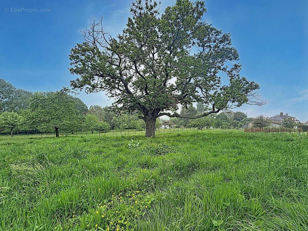 Terrain à JOUARS-PONTCHARTRAIN