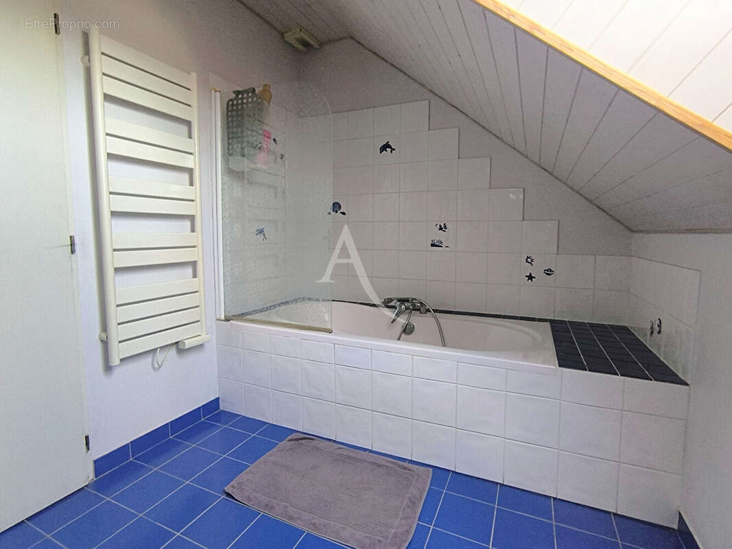 Maison à LE LION-D&#039;ANGERS