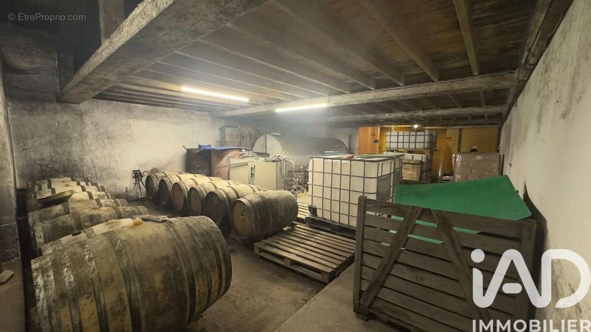 Photo 4 - Maison à MONNIERES