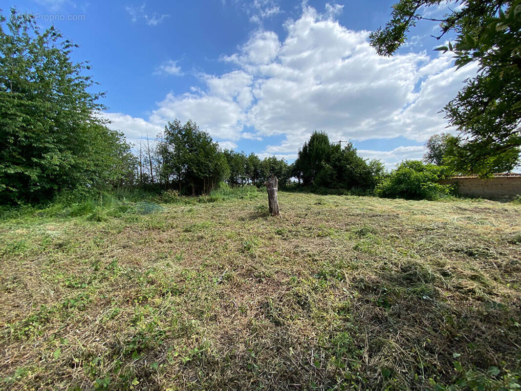 Terrain à MOISVILLE