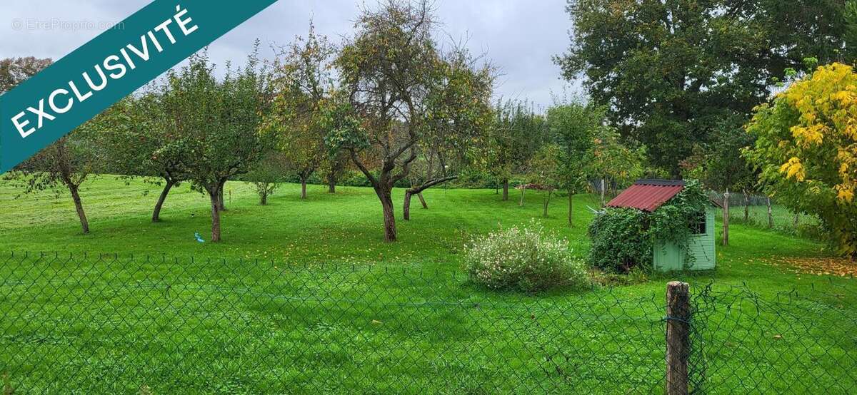 Photo 8 - Maison à SAINT-JEAN-SUR-VEYLE