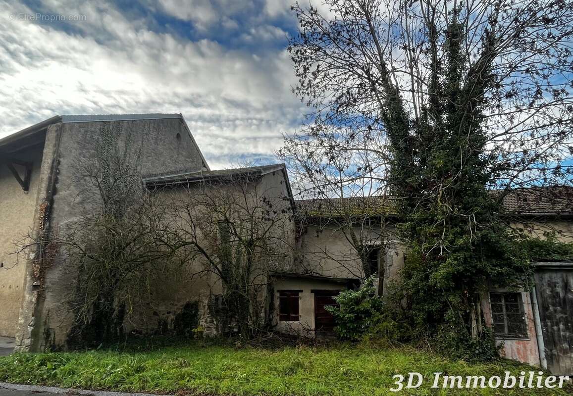 Maison 450 m² à Douvaine  - photo 3