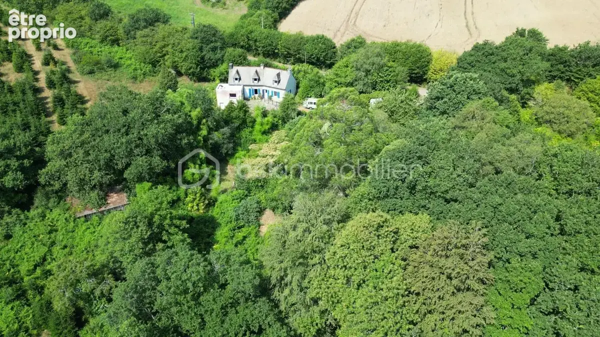 Propriété de 4 chambres isolée en pleine campagne - photo 2