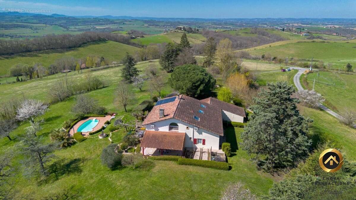 Maison à MONTESQUIEU-VOLVESTRE