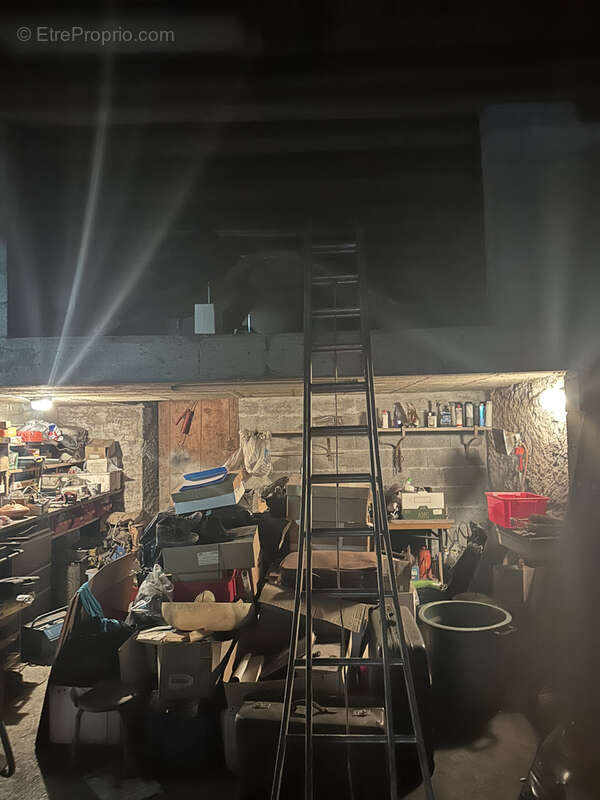 Maison à LA ROCHE-SUR-FORON