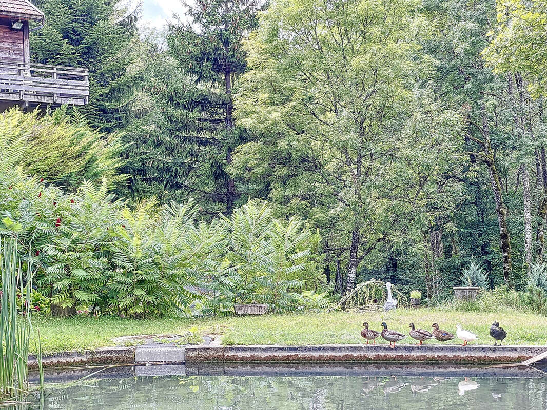 Maison à AIGUEBELETTE-LE-LAC