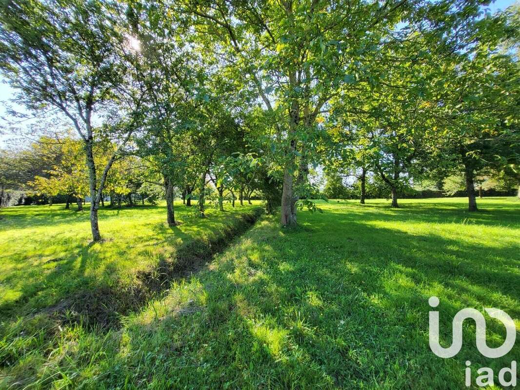 Photo 7 - Maison à ECOMMOY