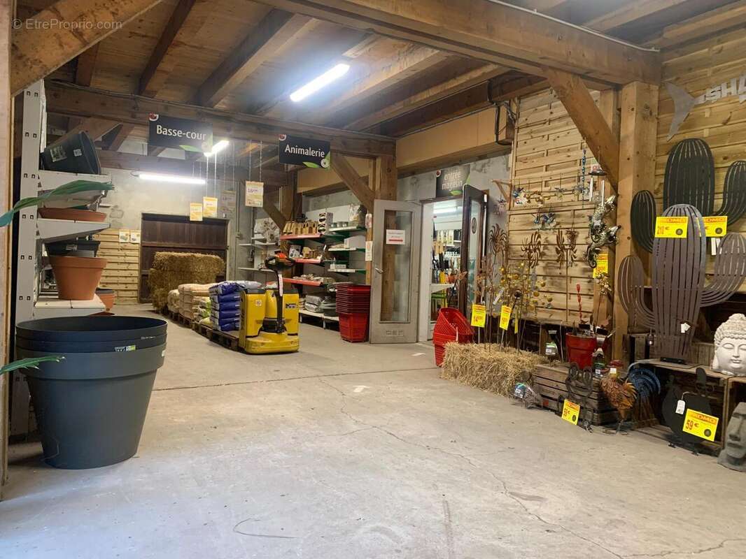 Photo 5 - Commerce à LESPARRE-MEDOC