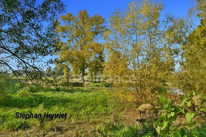 Maison à vendre 2 pièces MOURON (08) - photo 17