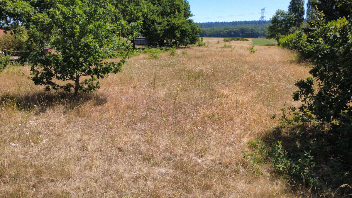 Terrain Yville Sur Seine 7514 m2 - photo 8