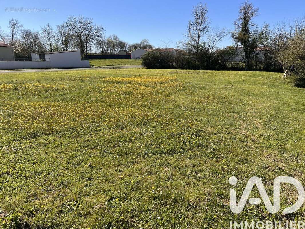 Photo 3 - Terrain à VERNOUX-SUR-BOUTONNE