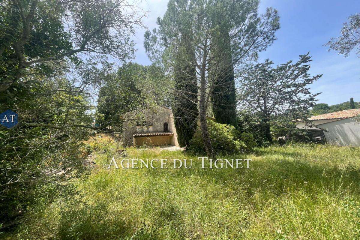 vente terrain - photo 2