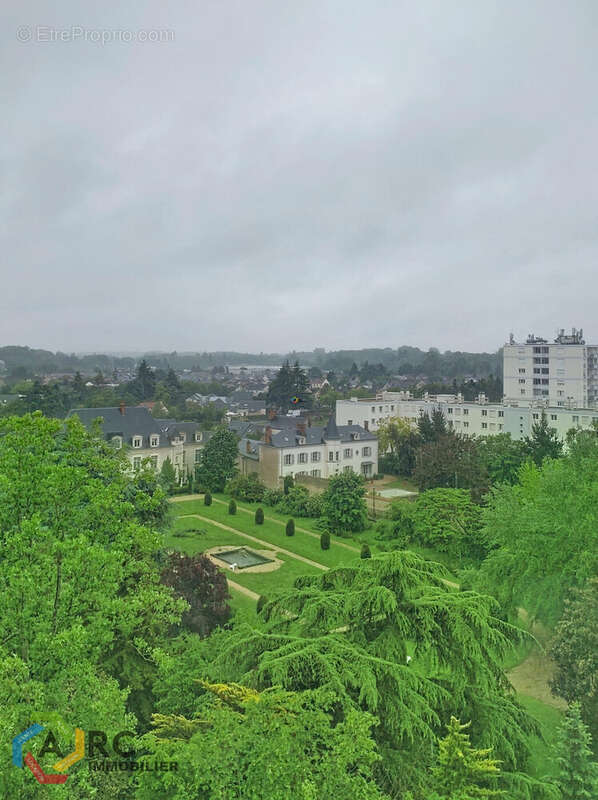Vue Salon - Appartement à OLIVET