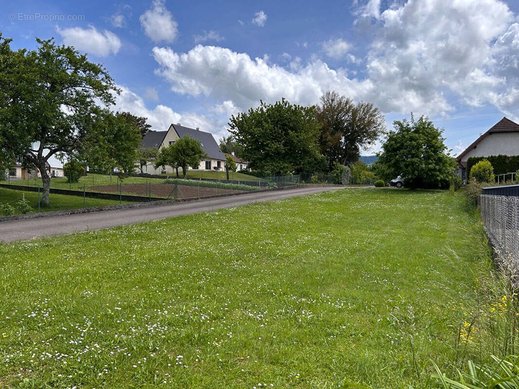 Terrain à VORAY-SUR-L&#039;OGNON