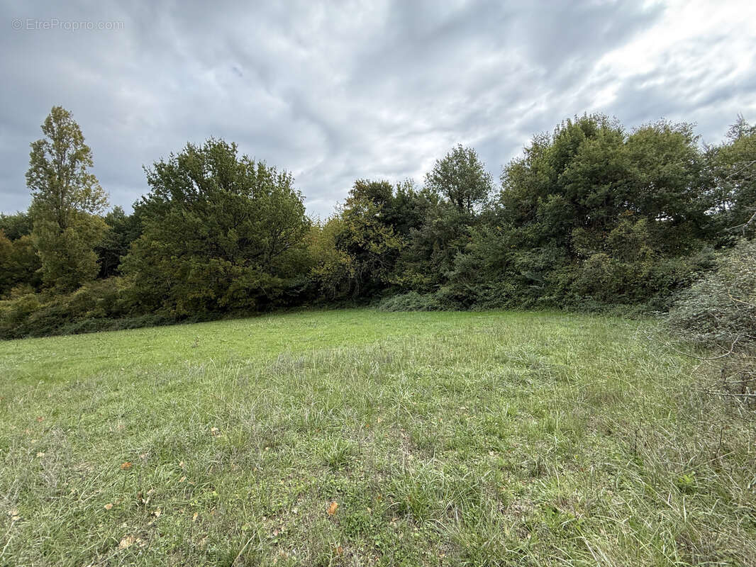 Terrain à MARIGNAC-LASPEYRES