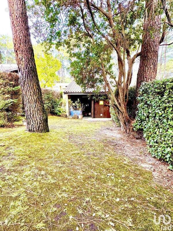 Photo 7 - Maison à LACANAU