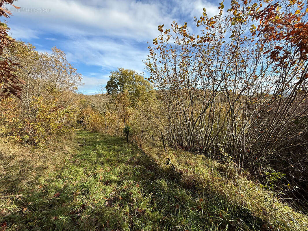 Maison à SAINT-SYLVESTRE-SUR-LOT