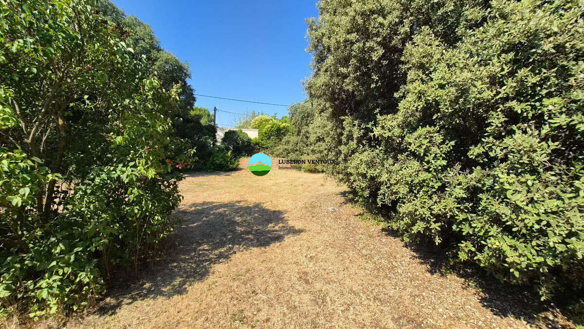 Terrain constructible non viabilisé de 900m² arboré - photo 2