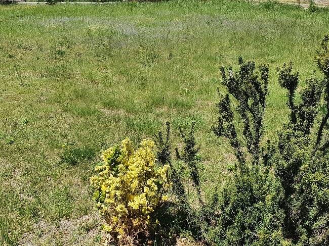 Terrain à VILLELONGUE-DELS-MONTS