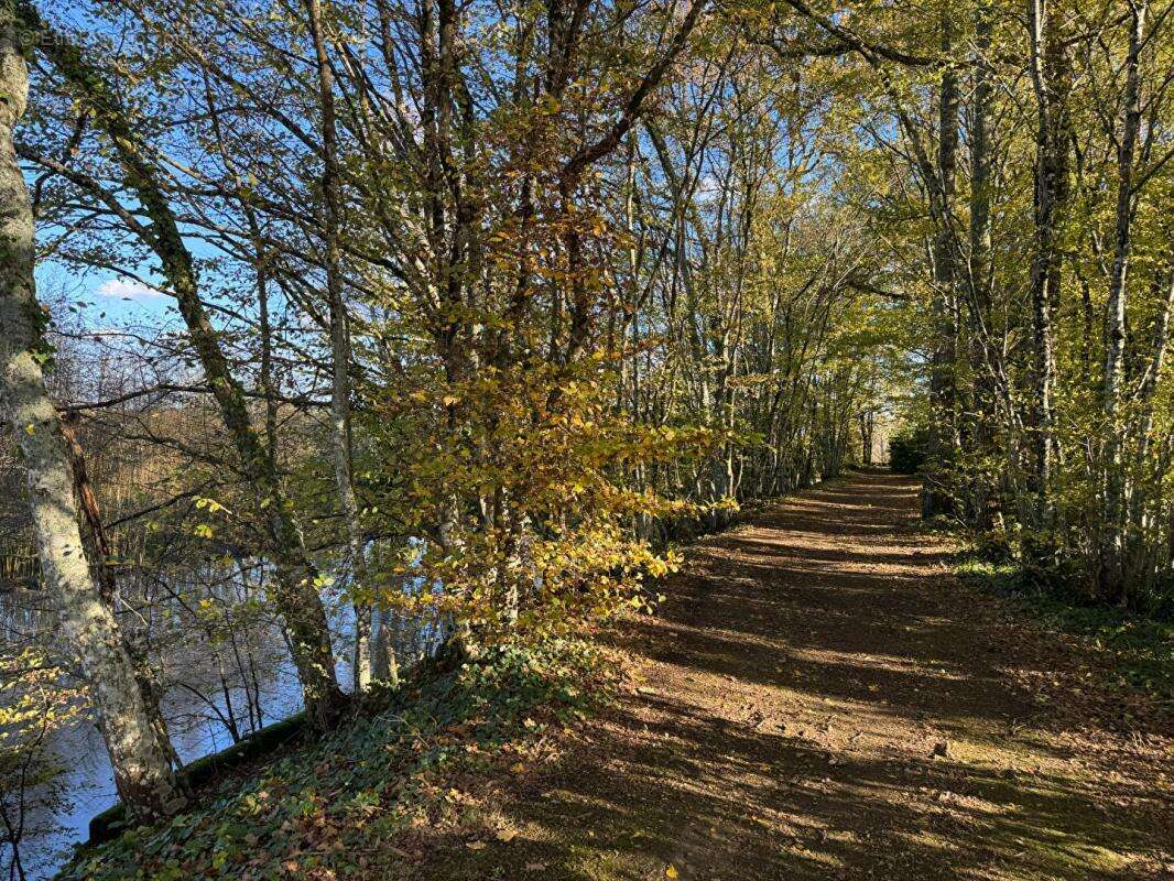 Maison à SAINT-EMILION