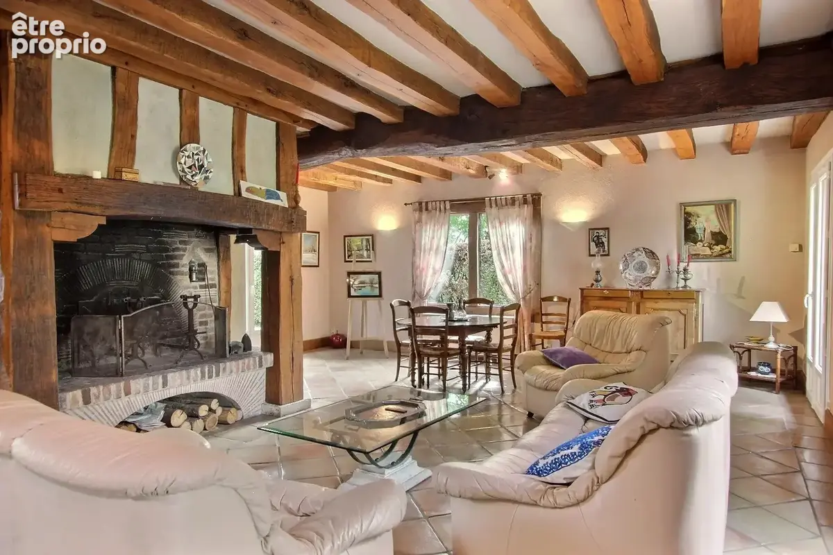 Mehun-sur-yèvre – ensemble immobilier atypique avec annexe et grand terrain - photo 3