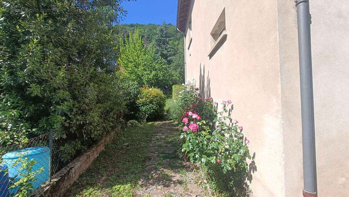 Maison Saint Affrique avec jardin et garage - photo 15