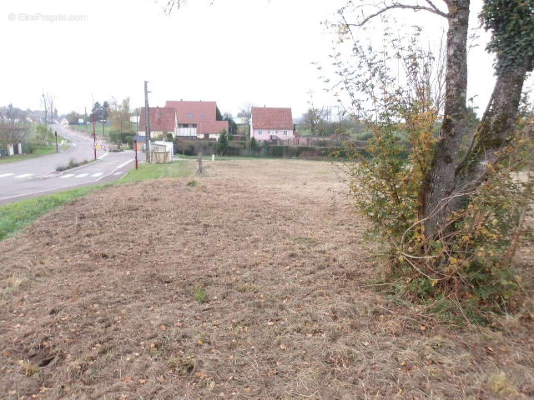 Terrain à GOERLINGEN