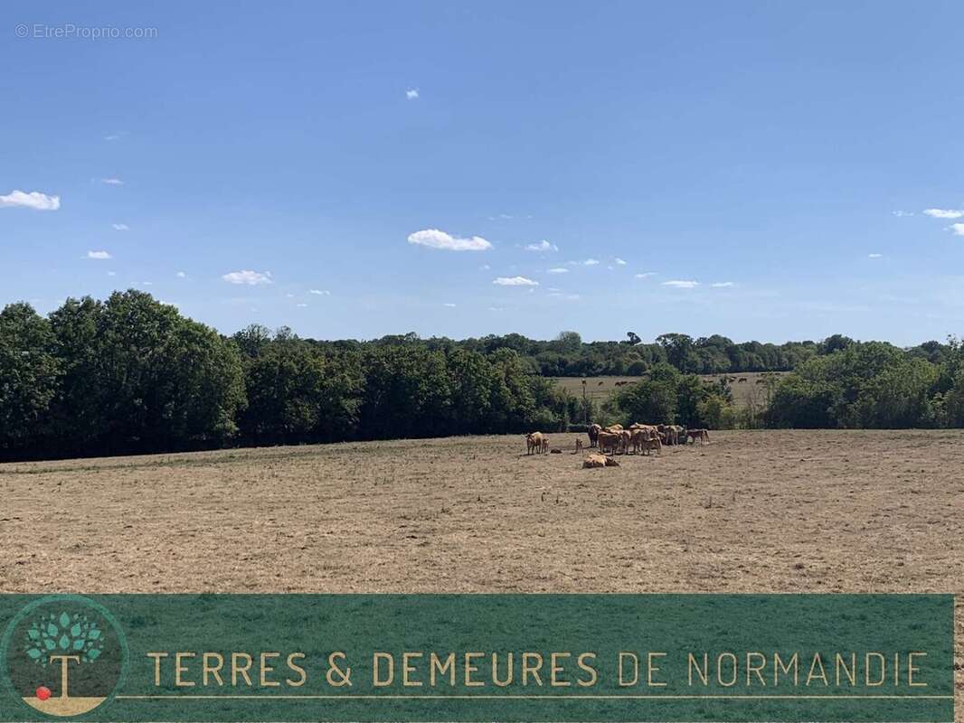 A VENDRE en NORMANDIE dans le département du CALVADOS région LE MOLAY-LITRY (14330) une exploitation agricole herbagère d'une su - photo 11