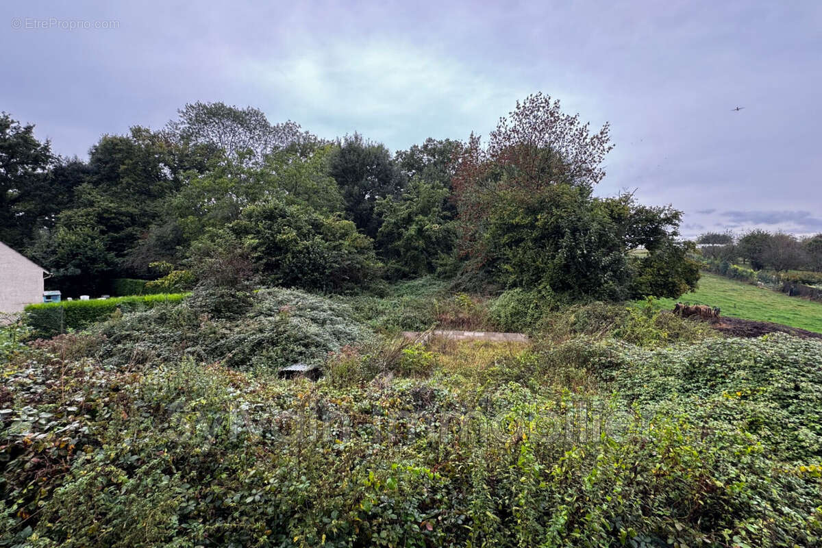 Terrain à MILLY-SUR-THERAIN