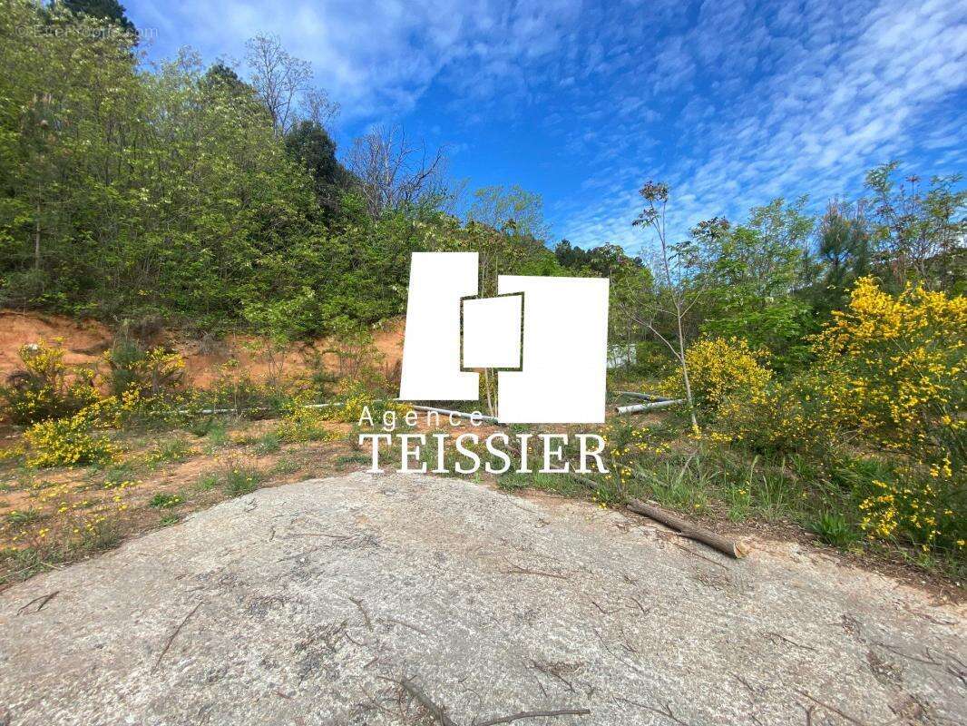 Terrain à CHAMBONAS