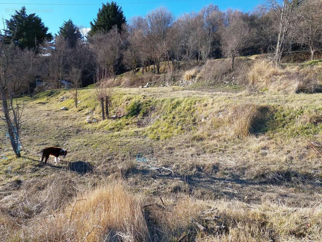 Terrain à COURSEGOULES