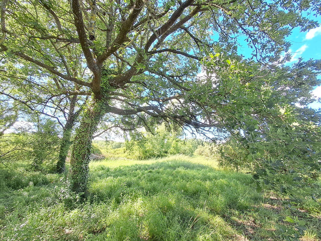 Terrain à MOUSSAC