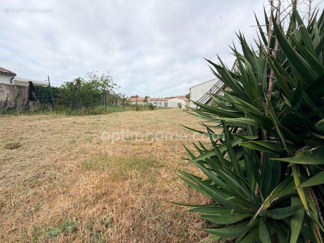 Propriété de 1300 m² – Potentiel de Division – Cœur de Village- rare -opportunité - photo 4