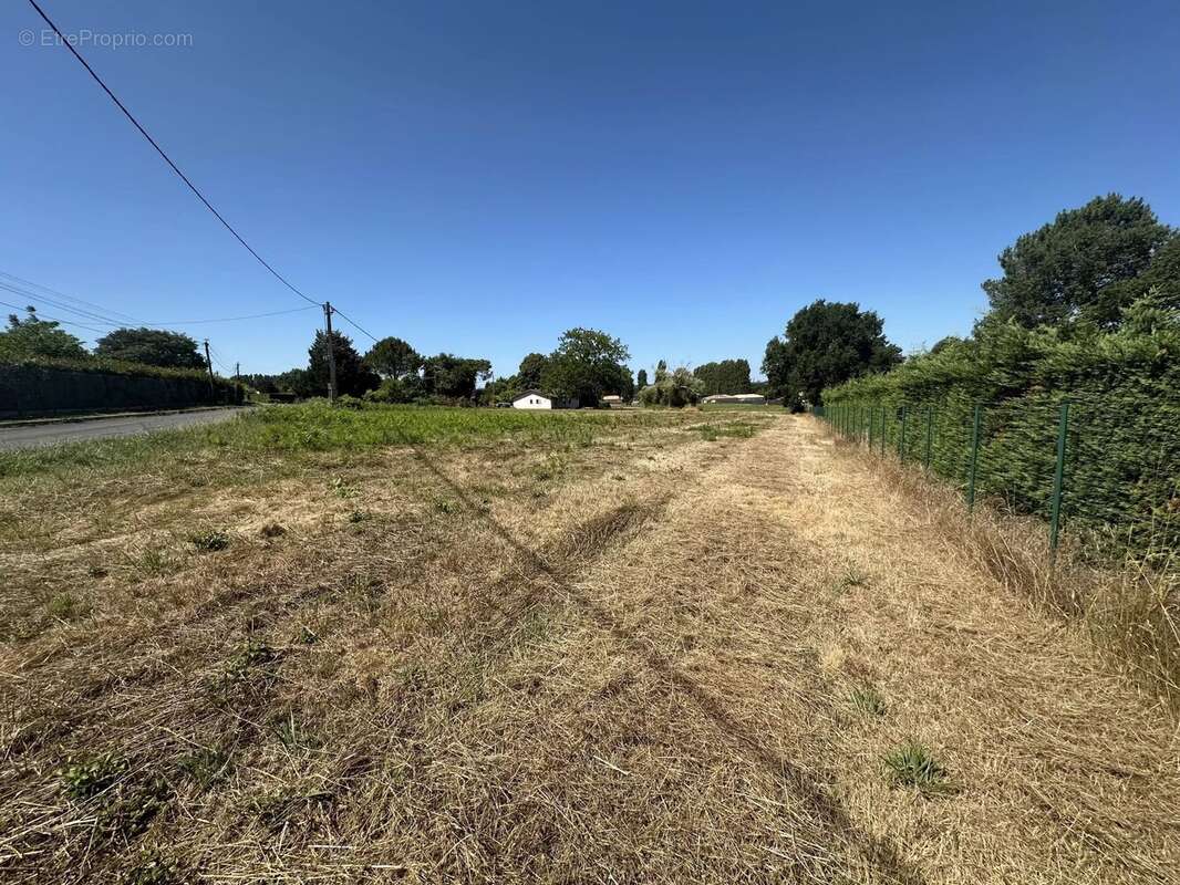Terrain à SAINT-SAVIN