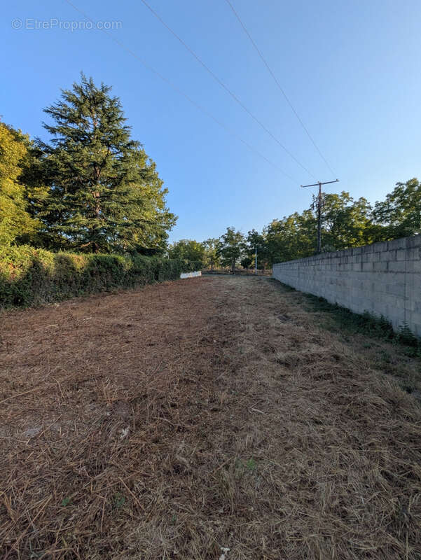 Terrain constructible de 1 793 m2   plat, non viabilisé - photo 8