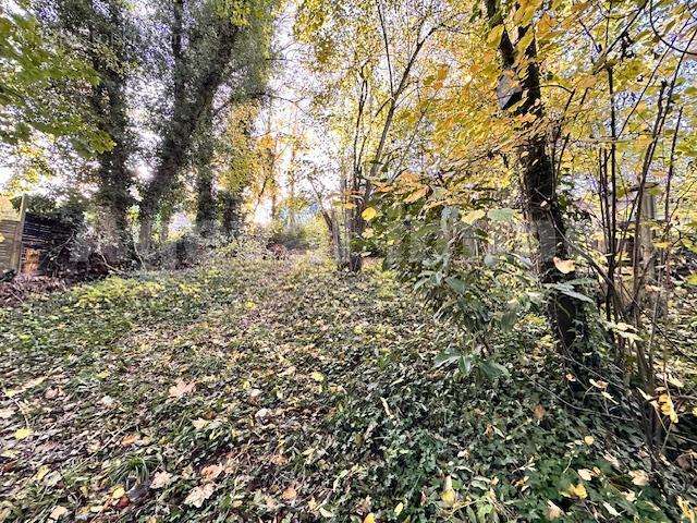 IMG_5596 - Terrain à QUINCY-SOUS-SENART