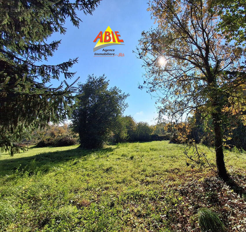 Photo 1 - Terrain à SAINT-ROMANS-LES-MELLE