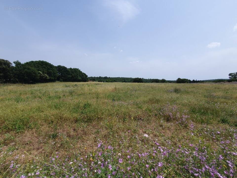 Terrain à MONTAGNAC