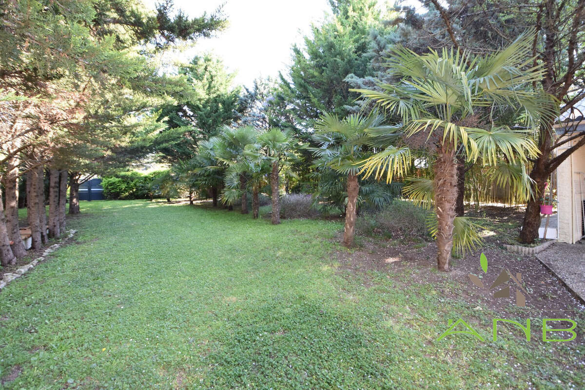 Maison à L'ISLE-D'ESPAGNAC