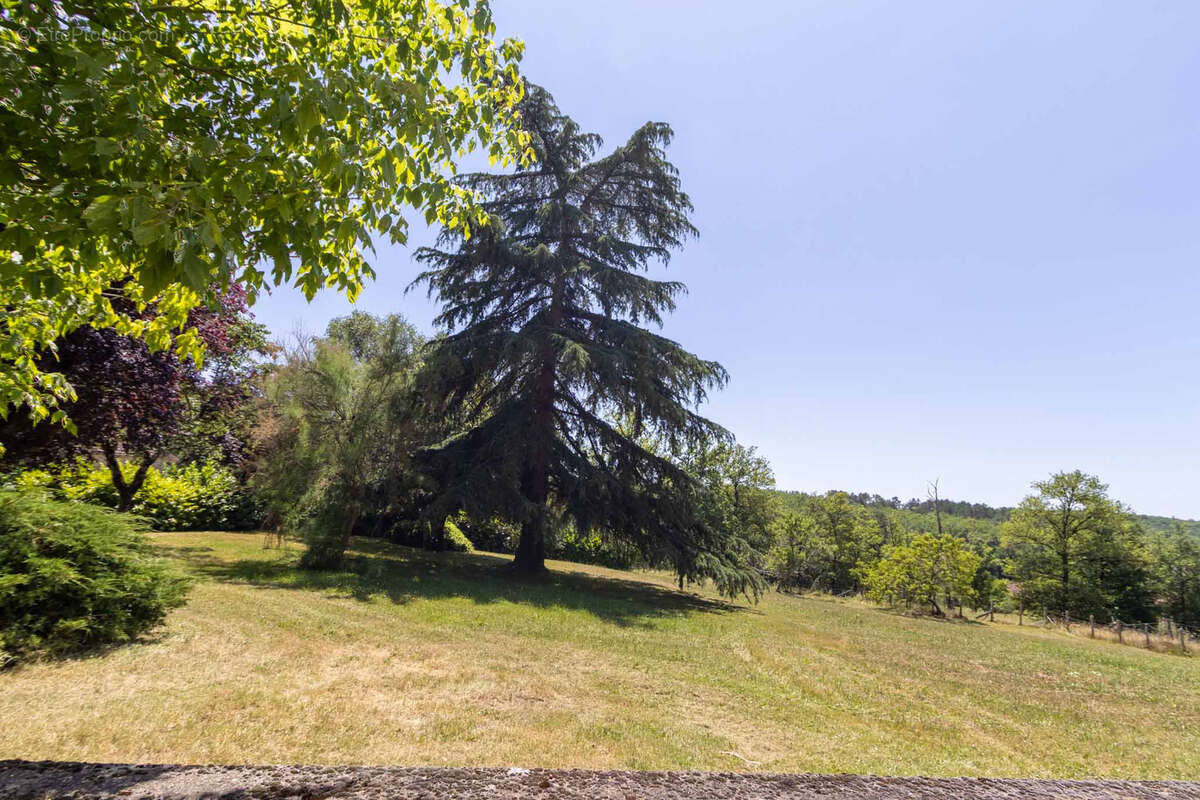 Maison à SAINT-MARTIAL-DE-NABIRAT